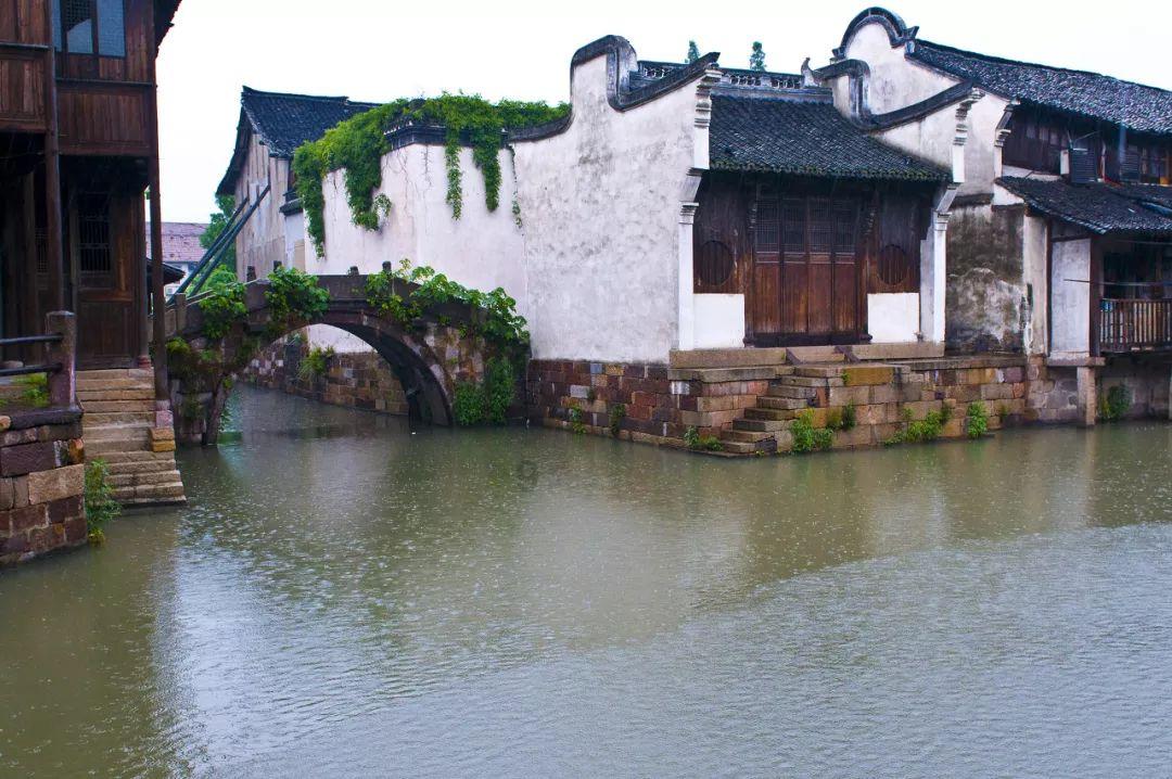 探索奇妙世界,尽在怎么老流鼻血?